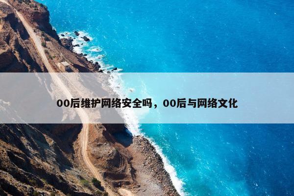 00后维护网络安全吗，00后与网络文化