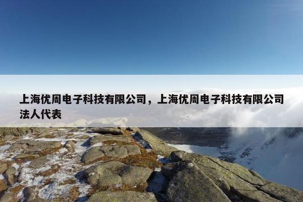 上海优周电子科技有限公司，上海优周电子科技有限公司法人代表