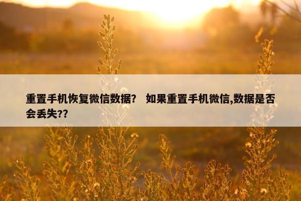 重置手机恢复微信数据？ 如果重置手机微信,数据是否会丢失?？