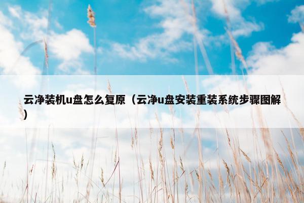 云净装机u盘怎么复原（云净u盘安装重装系统步骤图解）