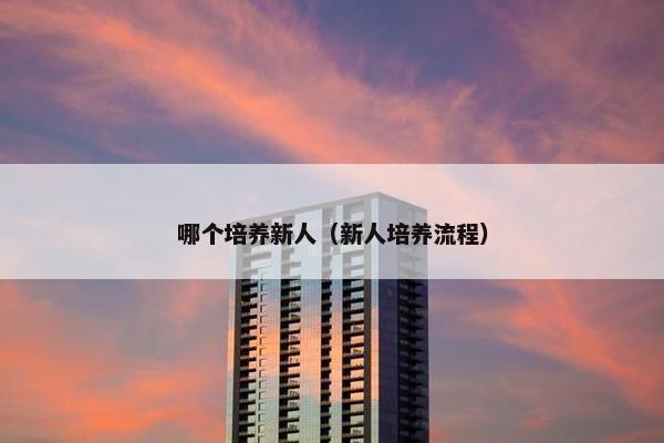 哪个培养新人（新人培养流程）