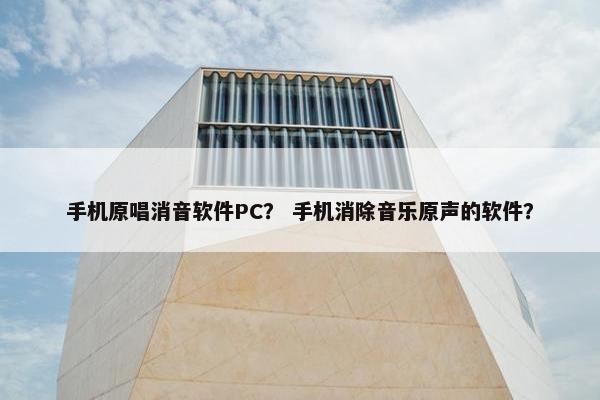 手机原唱消音软件PC？ 手机消除音乐原声的软件？