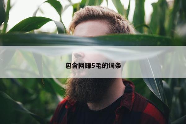 包含网赚5毛的词条