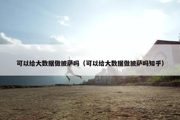 可以给大数据做披萨吗（可以给大数据做披萨吗知乎）