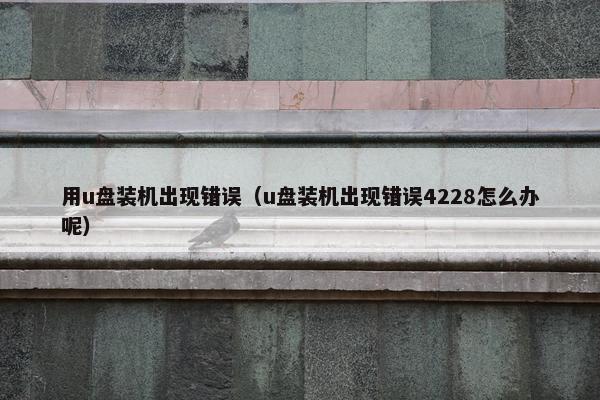 用u盘装机出现错误（u盘装机出现错误4228怎么办呢）
