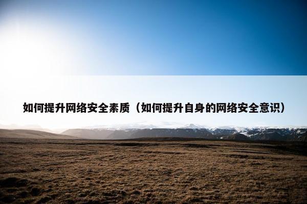 如何提升网络安全素质（如何提升自身的网络安全意识）