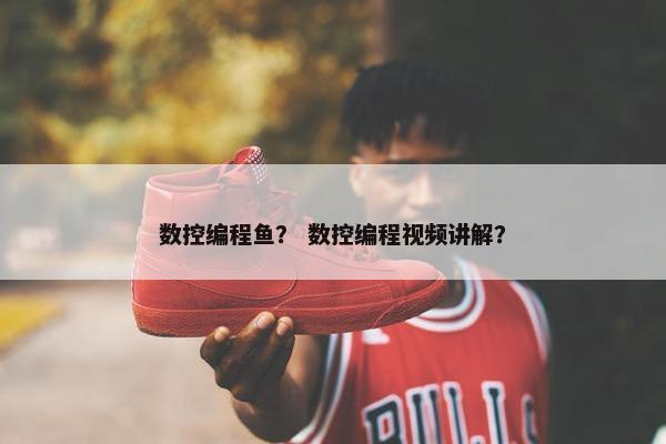 数控编程鱼？ 数控编程视频讲解？