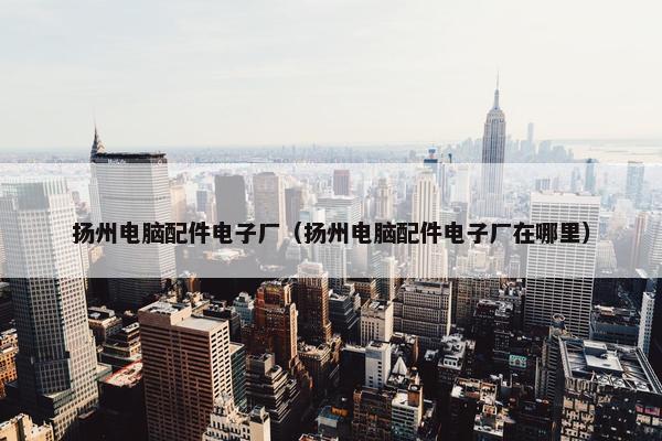 扬州电脑配件电子厂（扬州电脑配件电子厂在哪里）