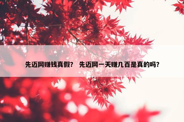 先迈网赚钱真假？ 先迈网一天赚几百是真的吗？
