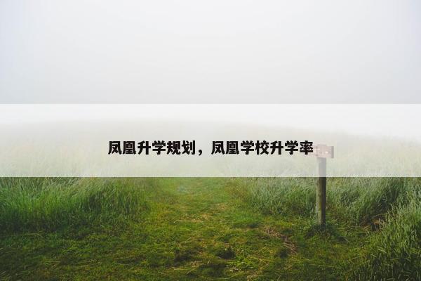 凤凰升学规划，凤凰学校升学率