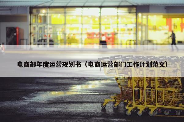电商部年度运营规划书（电商运营部门工作计划范文）