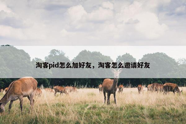 淘客pid怎么加好友，淘客怎么邀请好友