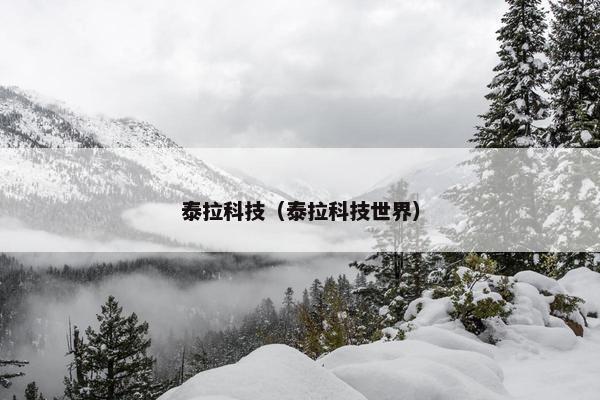 泰拉科技（泰拉科技世界）