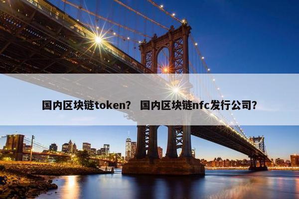 国内区块链token？ 国内区块链nfc发行公司？