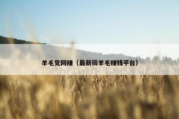 羊毛党网赚（最新薅羊毛赚钱平台）