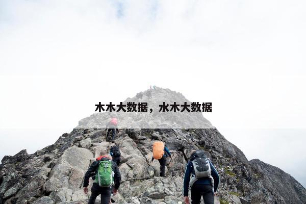 木木大数据，水木大数据