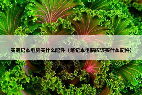 买笔记本电脑买什么配件（笔记本电脑应该买什么配件）