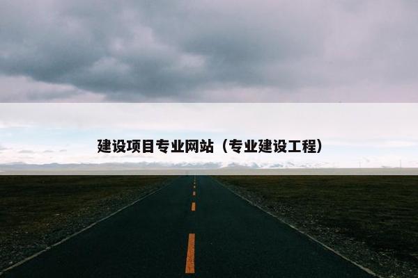 建设项目专业网站（专业建设工程）