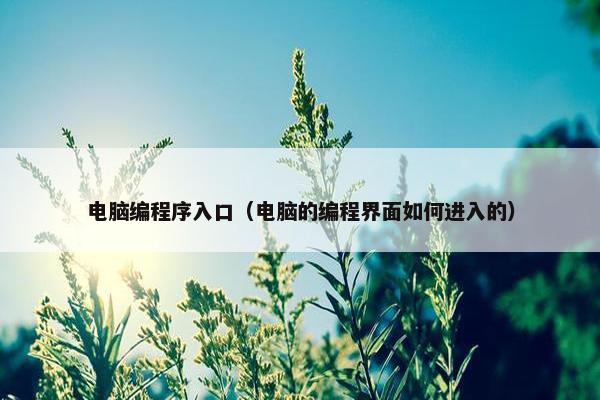 电脑编程序入口（电脑的编程界面如何进入的）