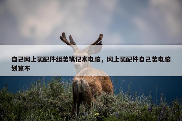 自己网上买配件组装笔记本电脑，网上买配件自己装电脑划算不