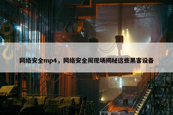 网络安全mp4，网络安全周现场揭秘这些黑客设备