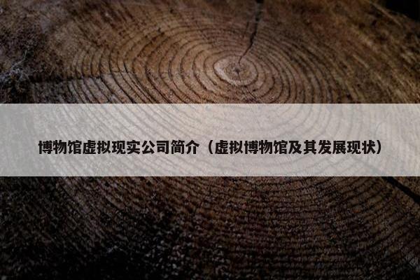 博物馆虚拟现实公司简介（虚拟博物馆及其发展现状）