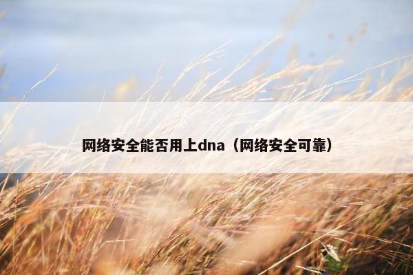 网络安全能否用上dna（网络安全可靠）