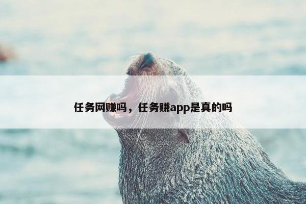 任务网赚吗，任务赚app是真的吗
