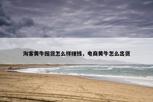 淘客黄牛囤货怎么样赚钱，电商黄牛怎么出货