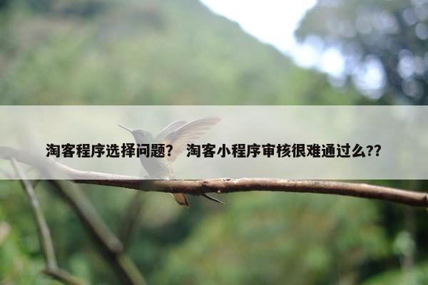 淘客程序选择问题？ 淘客小程序审核很难通过么?？