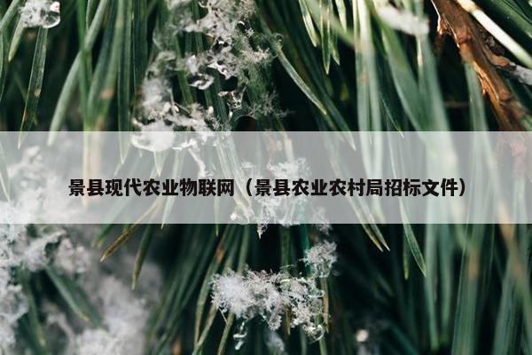 景县现代农业物联网（景县农业农村局招标文件）