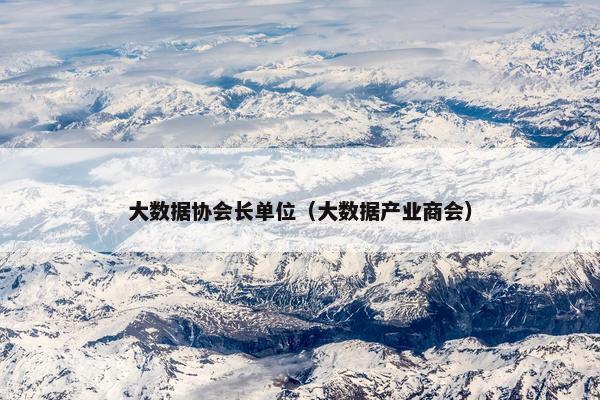 大数据协会长单位（大数据产业商会）