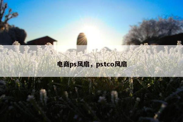 电商ps风扇,pstco风扇 电商ps风扇,pstco风扇