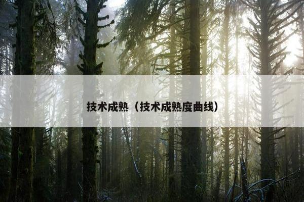 技术成熟（技术成熟度曲线）