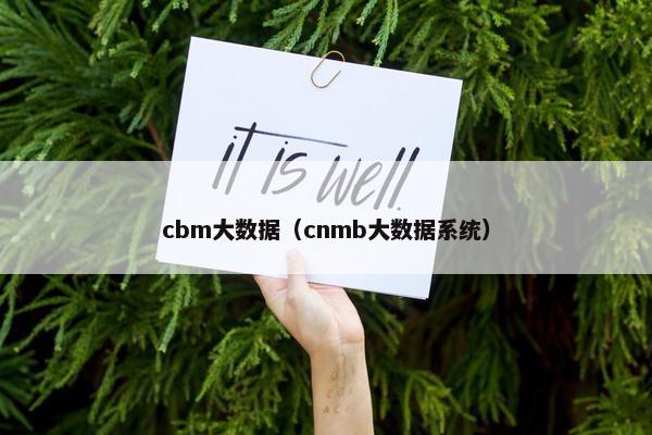 cbm大数据（cnmb大数据系统）