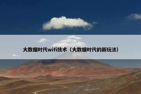 大数据时代wifi技术（大数据时代的新玩法）