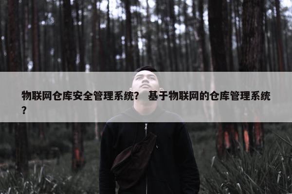 物联网仓库安全管理系统？ 基于物联网的仓库管理系统？