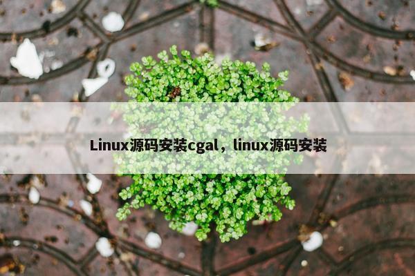 Linux源码安装cgal，linux源码安装