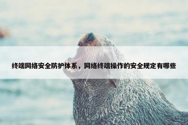 终端网络安全防护体系,网络终端操作的安全规定有哪些 终端网络安全防护体系,网络终端操作的安全规定有哪些