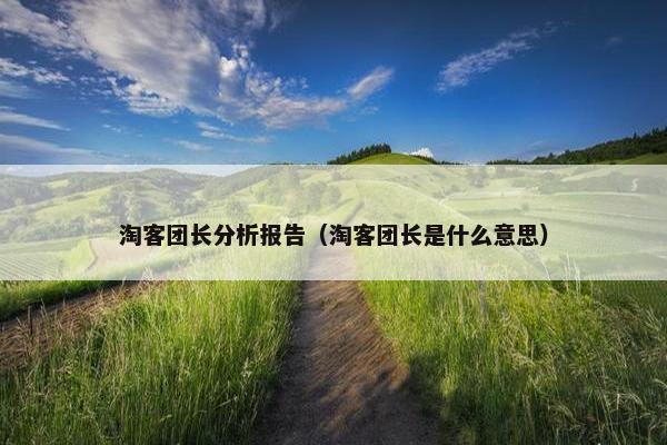 淘客团长分析报告(淘客团长是什么意思) 淘客团长分析报告(淘客团长是什么意思)
