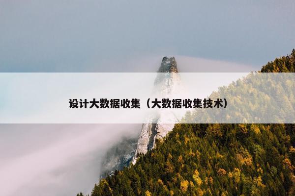 设计大数据收集(大数据收集技术) 设计大数据收集(大数据收集技术)