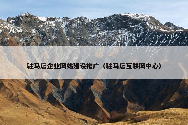 驻马店企业网站建设推广（驻马店互联网中心）