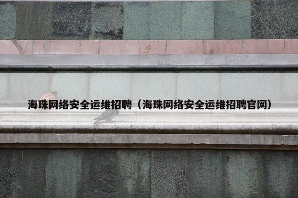 海珠网络安全运维招聘（海珠网络安全运维招聘官网）