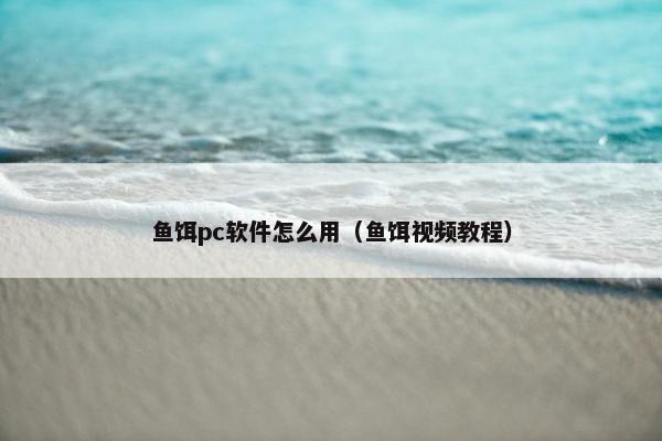 鱼饵pc软件怎么用（鱼饵视频教程）