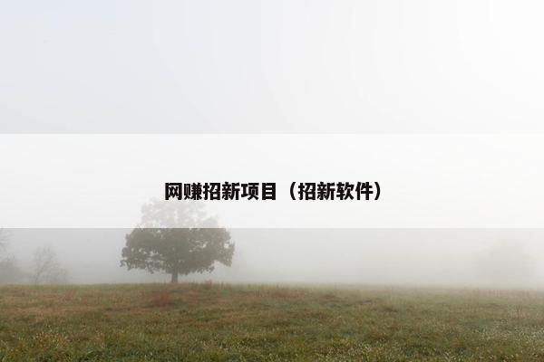 网赚招新项目（招新软件）