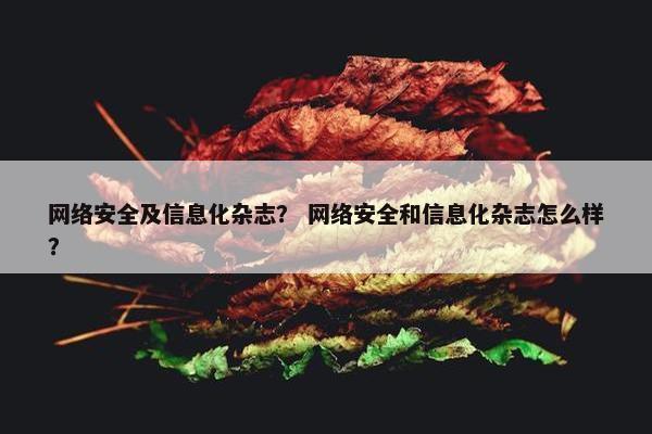 网络安全及信息化杂志？ 网络安全和信息化杂志怎么样？