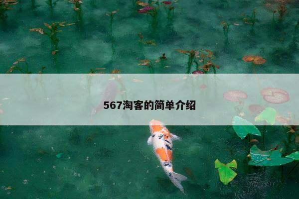 567淘客的简单介绍