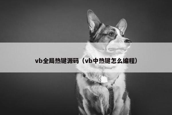vb全局热键源码（vb中热键怎么编程）