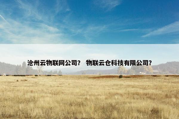 沧州云物联网公司？ 物联云仓科技有限公司？