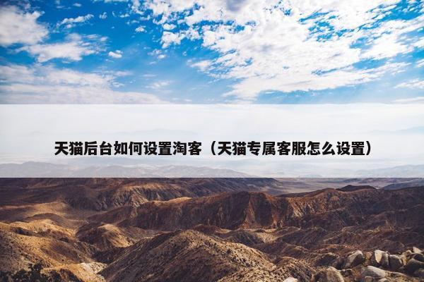 天猫后台如何设置淘客(天猫专属客服怎么设置) 天猫后台如何设置淘客(天猫专属客服怎么设置)